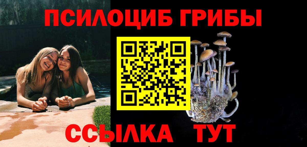 Аргун  Галлюциногенные грибы Psilocybe  Вход с VPN 