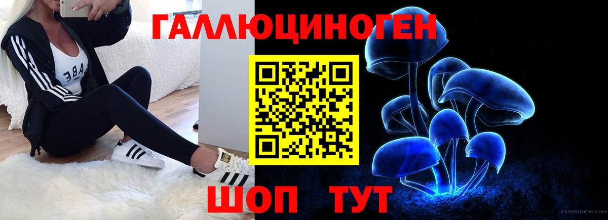 Псилоцибиновые грибы Magic Shrooms Аргун
